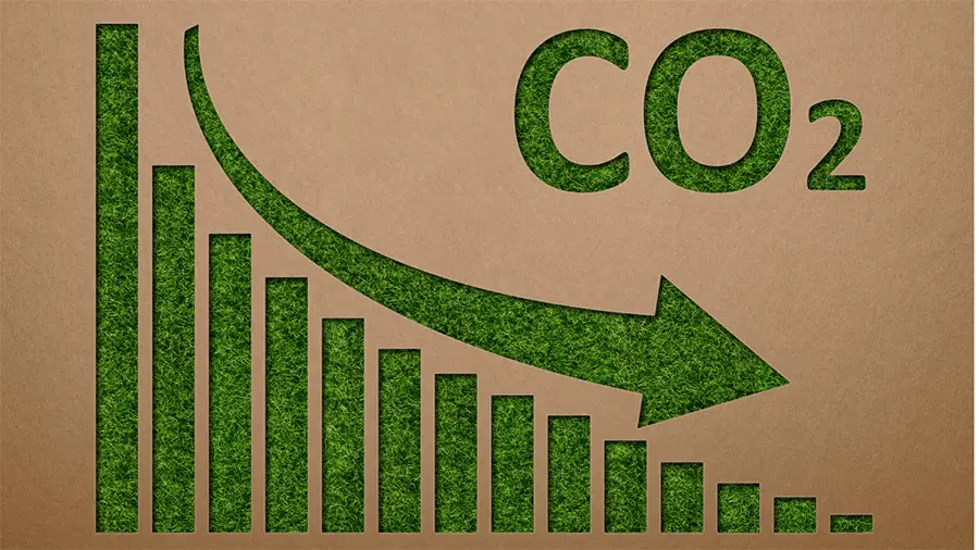 A Race Between Last Mile Delivery Companies to Be Emission Neutral